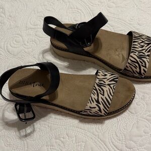 Diba True Black and Tan Zebra Sandals
